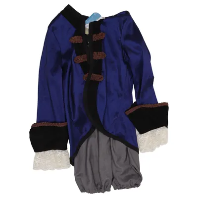 Fancy dress (Blue, Gray) from Great Pretenders