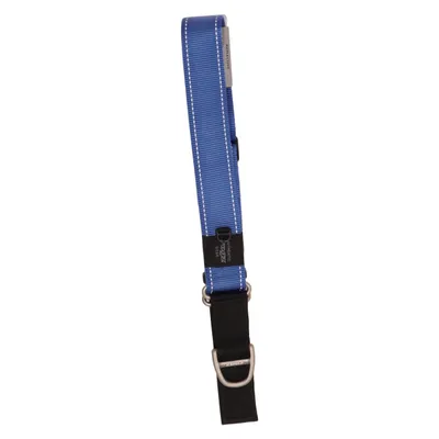 Hundhalsband (CONTROL COLLAR) från Rogz
