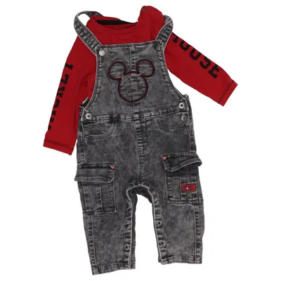 Set (Gray, Red, Multicolored) from Orchestra