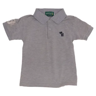 Polo shirt (Gray) from Abercrombie