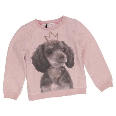 Sweatshirt (Pink) from H&M Cotton, Elastane, Polyester
