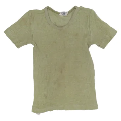 T-shirt (Grøn) fra Cosilana Bomuld, Polyamid, Uld