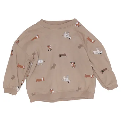 Sweatshirt (Beige) from H&M Cotton