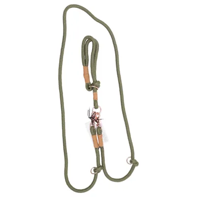 Laisse (Retriever Halsband mit verstellbarer Leine)