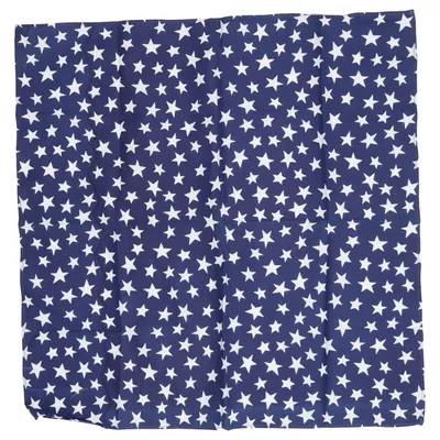 Bandana (Blue, White) from Zandanna Cotton