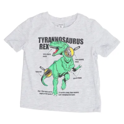 T-shirt (Grå, Grøn, Flerfarvet) fra Dopo Dopo Boys Bomuld, Viscose