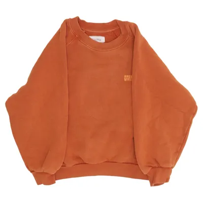 Sweatshirt (Braun) von American Vintage Baumwolle, Elasthan