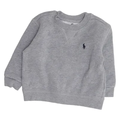 Collegetröja (Grå) från Ralph Lauren Bomull, Polyester