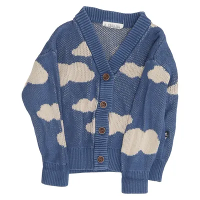 Cardigan (Blue, Beige) from Carlijnq Cotton