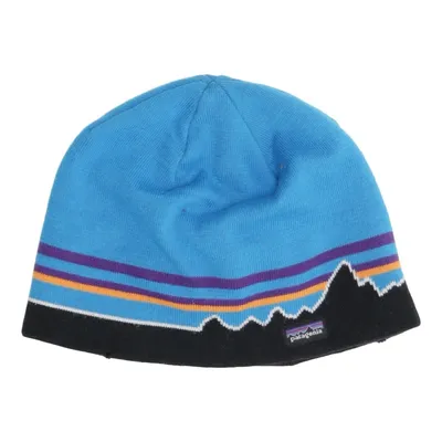 Beanie (Blauw, Meerkleurig) van Patagonia