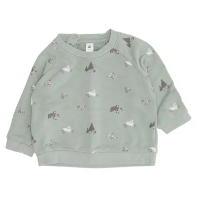 Sweatshirt (Groen, Meerkleurig) van Åhléns Kids Katoen, Polyester