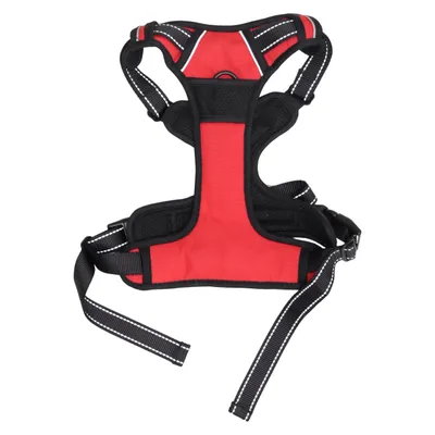 Hundsele (Röd, Svart) från Flamingo