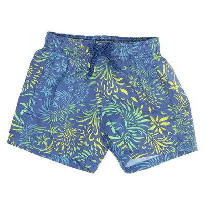 Swim shorts (Blue, Green, Multicolored) from Vilebrequin