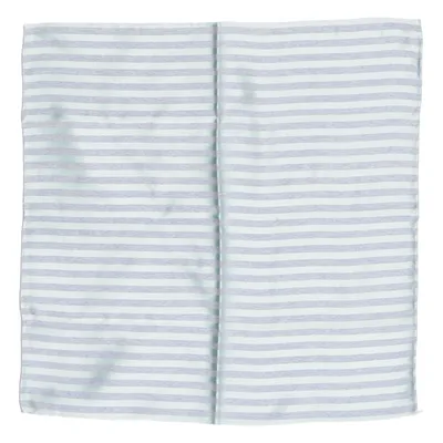 Handkerchief (Blue, White) from Kiton Silk