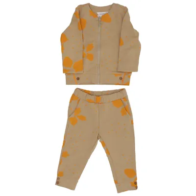 Sæt (Beige, Gul) fra Coccodrillo Bomuld, Elastan