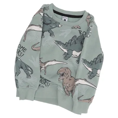 Sweatshirt (Grøn, Flerfarvet) fra Dopo Dopo Boys Bomuld, Polyester