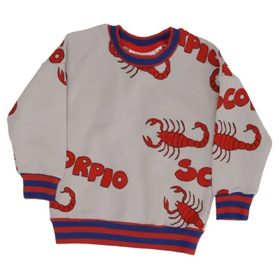 Sweatshirt (Scorpio) from Mini Rodini Organic cotton