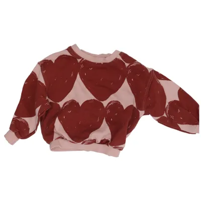 Sweatshirt (Pink, Brun) fra Zara Bomuld, Elastan