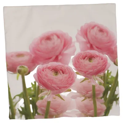 Kuddfodral (Vit, Rosa, Grön) från Nina Royal Polyester
