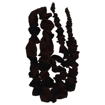 Shawl (Brown, Black) from Issey Miyake