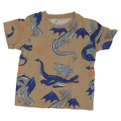 T-shirt (Beige, Multicolored) from H&M Cotton