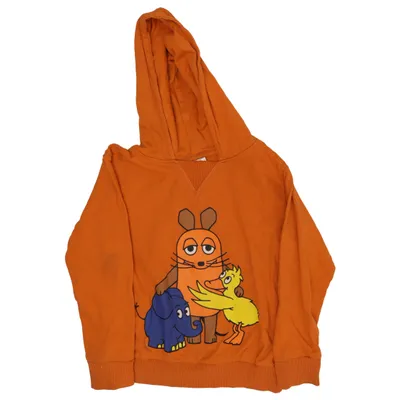 Hoodie (Orange, Multicolored) from DieMaus