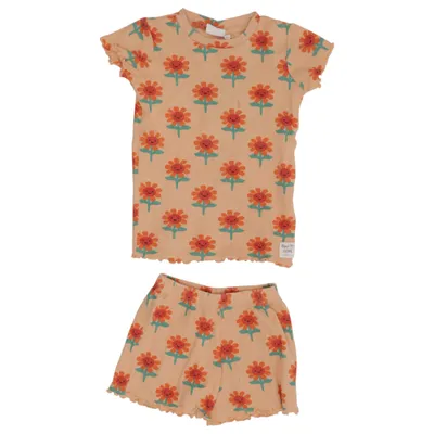 Set (Beige, Flerfärgad) från Feetje Elastan, Ekologisk bomull