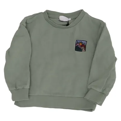 Sweatshirt (Grøn) fra The New Økologisk bomuld