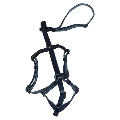 Dog harness (Blue) from Nobby