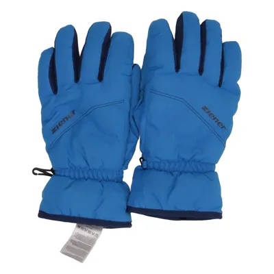 Handschoenen (Lerin) van Ziener