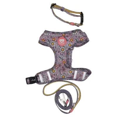 Dog harness (Purple, Multicolored) from Dukier