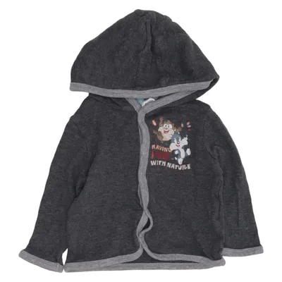 Sweat à capuche (Gris) de Looney Tunes