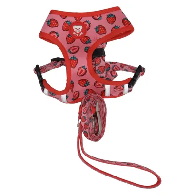 Dog harness (Pink, Red) from Dukier