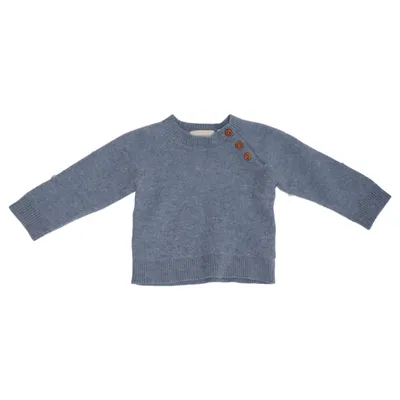 Strickpullover (Blau) von Sense Organics Wolle