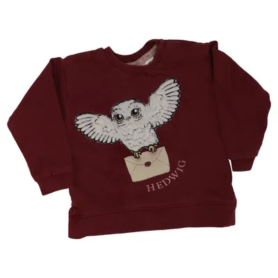 Collegetröja (Hedwig) från Harry Potter x H&M Bomull