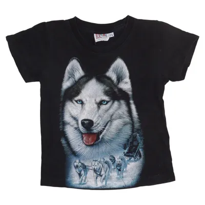 T-shirt (Noir) de Rock Eagle Coton