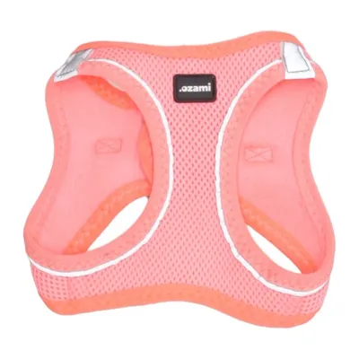 Dog clothes (Orange) from Ozami