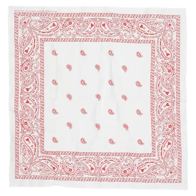 Handkerchief (White, Multicolored) from AMI Cotton