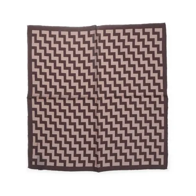 Näsduk (Brun, Beige) från Tom Ford