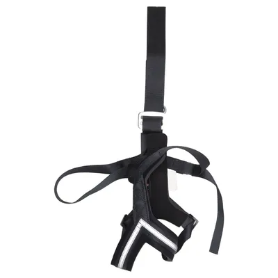 Accessoire pour chien (Allsafe storlek S) de Kleinmetall