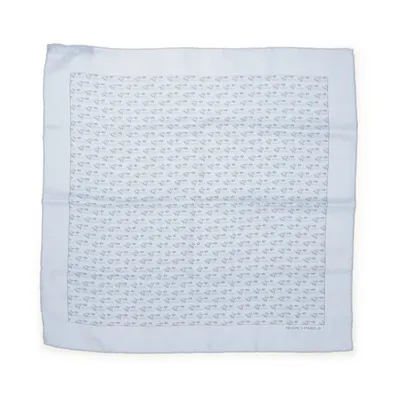 Näsduk (Blå, Vit) från Hermès Silke