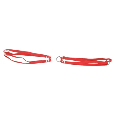 Garter belt (Red) from Lounge