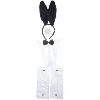Costume accessories (White, Black)