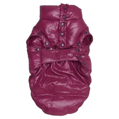 Hundefrakke (CHIHUAHUA) fra Moncler Polyamid