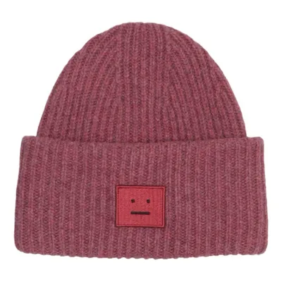 Beanie (Pink) from Acne Studios Wool