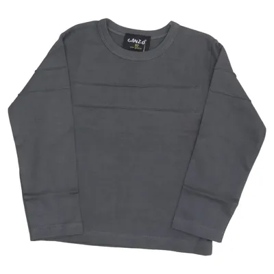 Langærmet t-shirt (Grå) fra GANZ Bomuld