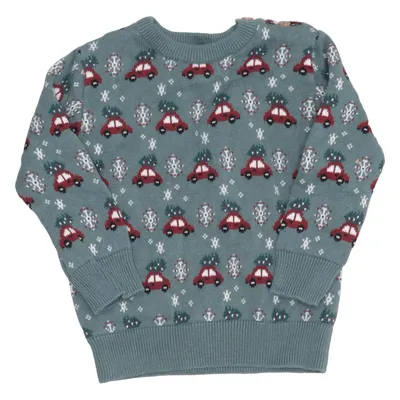 Weihnachtspullover (Grün, Mehrfarbig) von D.M.D by Denim Day Baumwolle