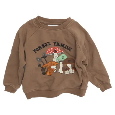 Collegetröja (Brun, Flerfärgad) från Rikiki Bomull