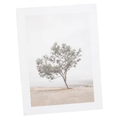 Poster från Desenio