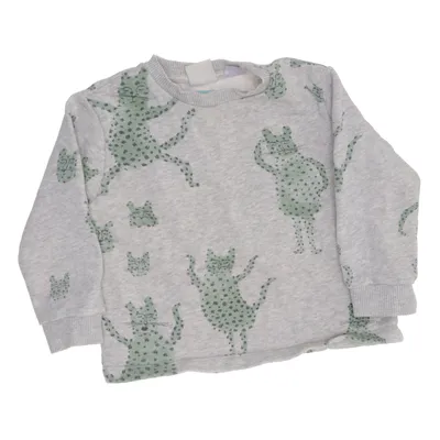 Sweatshirt (Grijs, Groen) van Zara Baby Katoen, Elastaan